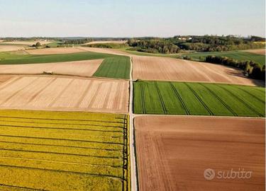 Terreno agricolo in Valdichiana
