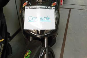Xmax 250 2009