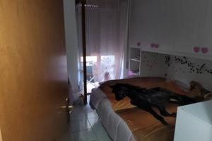 Appartmento lt 4438/2020 lotto 1