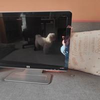 monitor LCD HP W1907 da 19 pollici