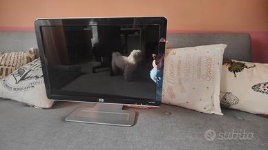 monitor LCD HP W1907 da 19 pollici