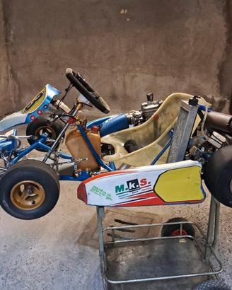 Birel 60