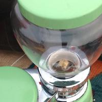 Macinacaffè Quick Mill 