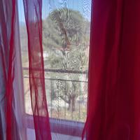 2 tende trasparenti rosse 