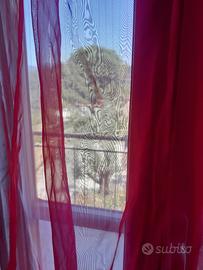 2 tende trasparenti rosse 