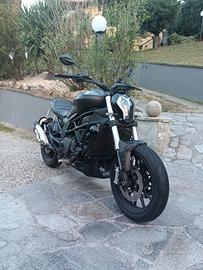 Benelli 502 C - 2023