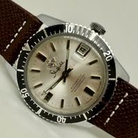 Sheffield Diver
