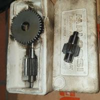 Rapporti primari malossi