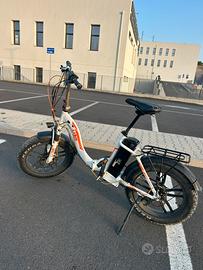 Bici elettrica 250 watt