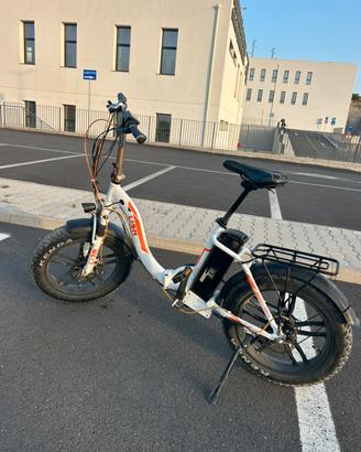 Bici elettrica 250 watt