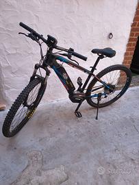 Bicicletta elettrica pedalata assistita