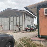 Capannone industriale ed artigianale