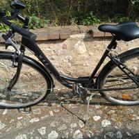 Bicicletta da passeggio