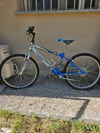 Mountain Bike Montana