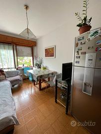 PA154554 Bicamere per investimento