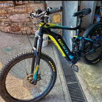 Ebike giant