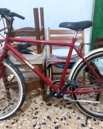 Bici mtb + seggiolino posteriore