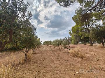 Terreno di 5.2 ettari Santa Chiara di Nardò 