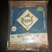 Muta corde Mandoloncello Dogal  V76 linea verde