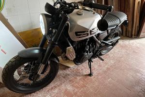 Brixton crossfire 500x