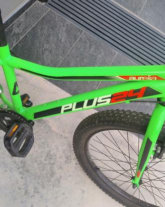 MTB p