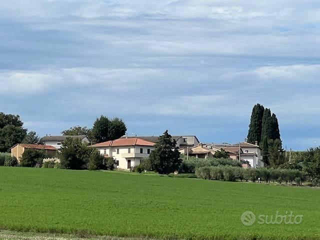 Casa – Montefalco, Fabbri - Vista 3