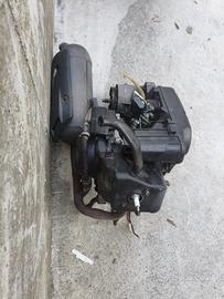 Carter Piaggio zip completo
