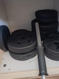 set pesistica