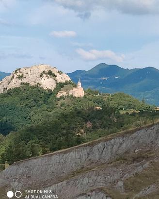 Custode, Vigilanza, Autista, H24  tutto l'anno 