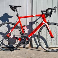 Bici corsa Wilier GTR Team Ultegra XXL