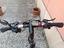 Immagine 3