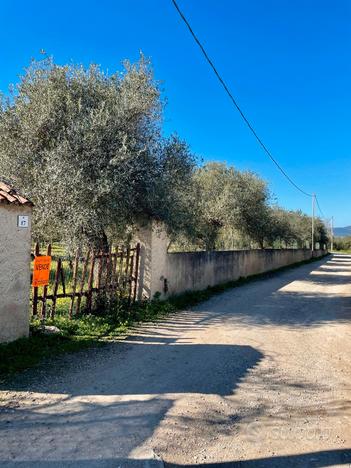 Terreno con fabbricato 500 metri da Alghero