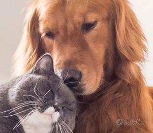 Custode per gatti e cani