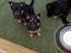 Immagine 1