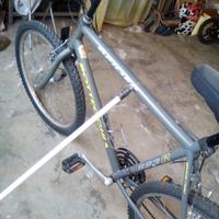 Mountain bike Bottecchia
