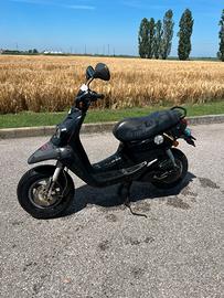 Peugeot squab 50