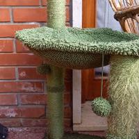 Tiragraffi con cuccia