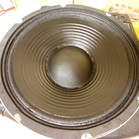 Woofer 12" 30 cm 250Watt rms 500 Watt max