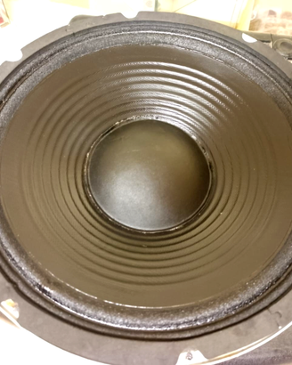 Woofer 12" 30 cm 250Watt rms 500 Watt max