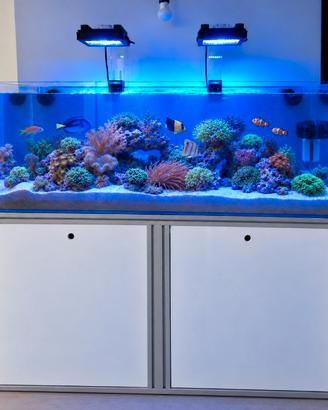 Acquario _ VASCA + MOBILE + CARICO E SCARICO