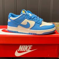 Nike Dunk Low“Coast” 41