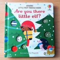 Idea per Natale - Usborne libro per bambini