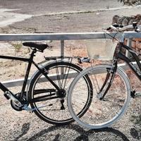 Coppia di bici da passeggio Cinzia