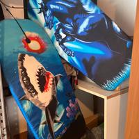 Coppia tavole surf per bambini