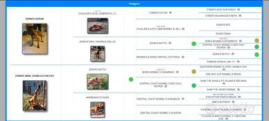 Pitbull adba con pedigree