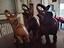 Immagine 1
