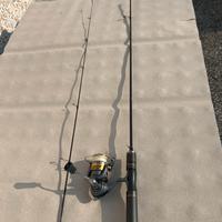 Canna trout area e daiwa laguna