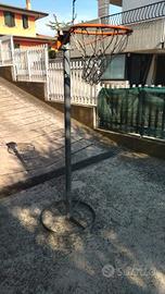 pallacanestro - piantana 