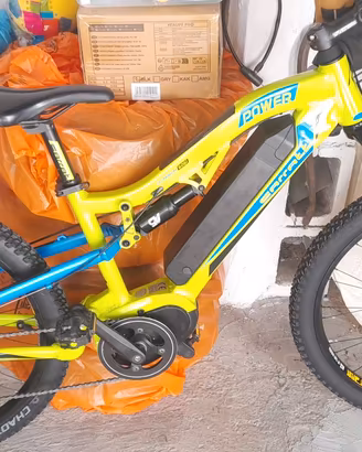Bicicletta