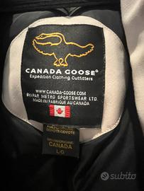 Canada 2024 goose perugia